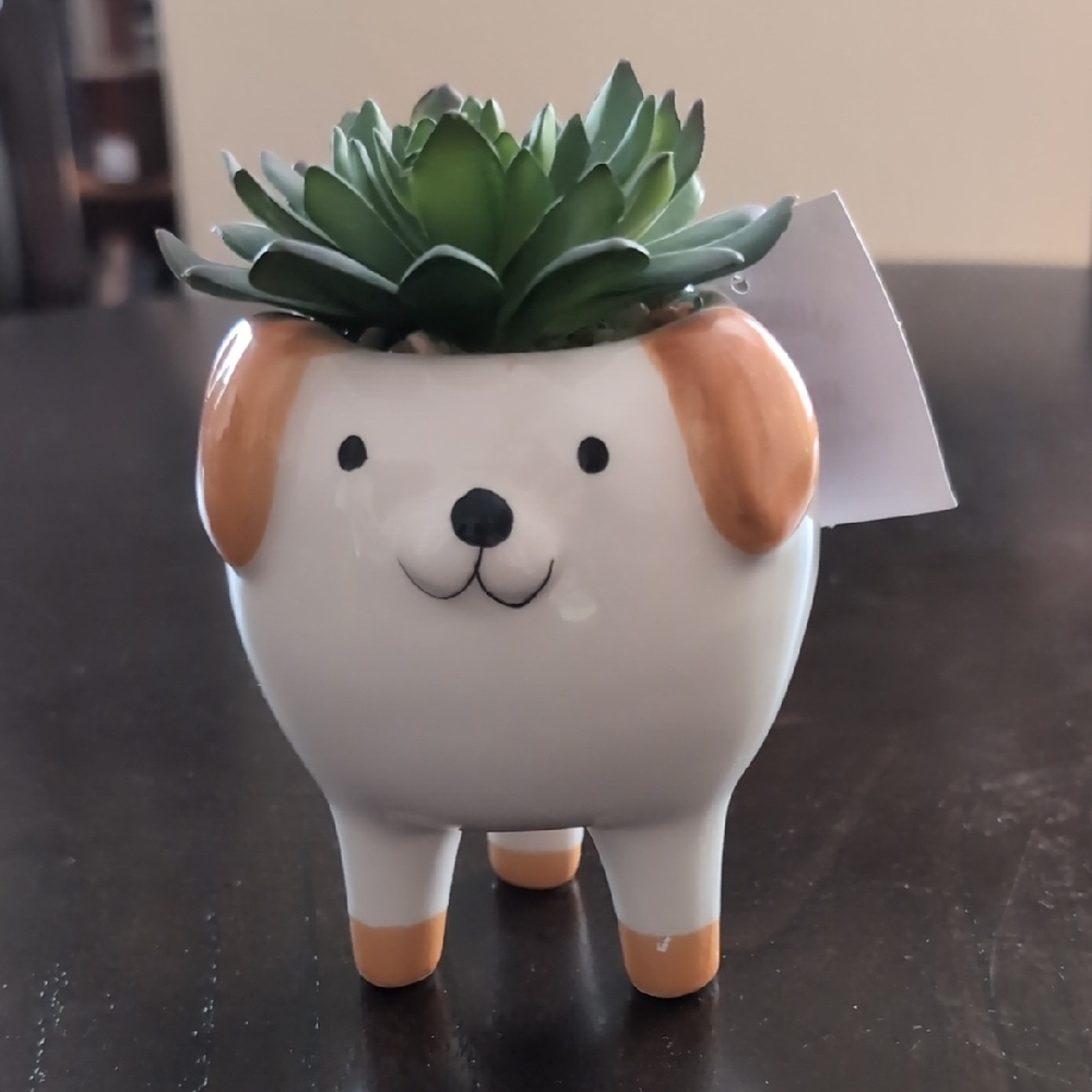 Cute Dog Planter with Succulent